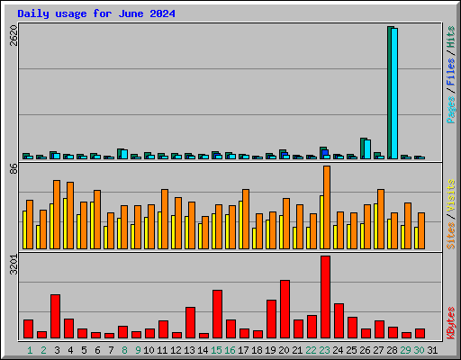 Daily usage for June 2024