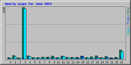 Hourly usage for June 2024