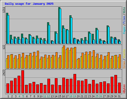 Daily usage for January 2025