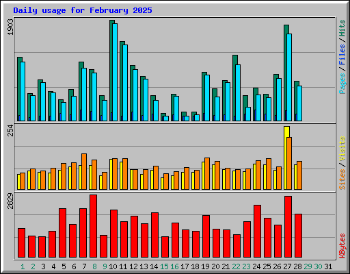 Daily usage for February 2025