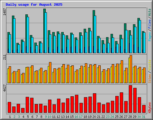 Daily usage for August 2025