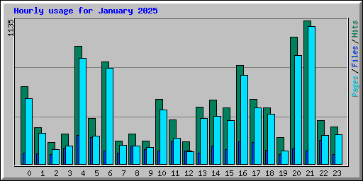 Hourly usage for January 2025