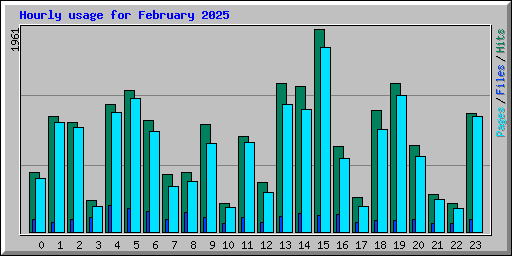Hourly usage for February 2025