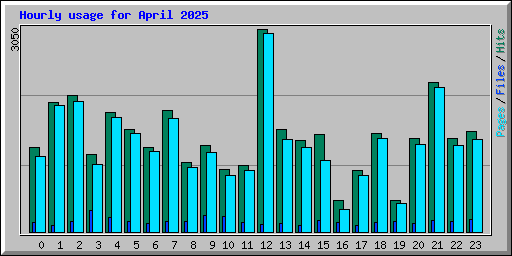 Hourly usage for April 2025