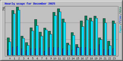 Hourly usage for December 2025